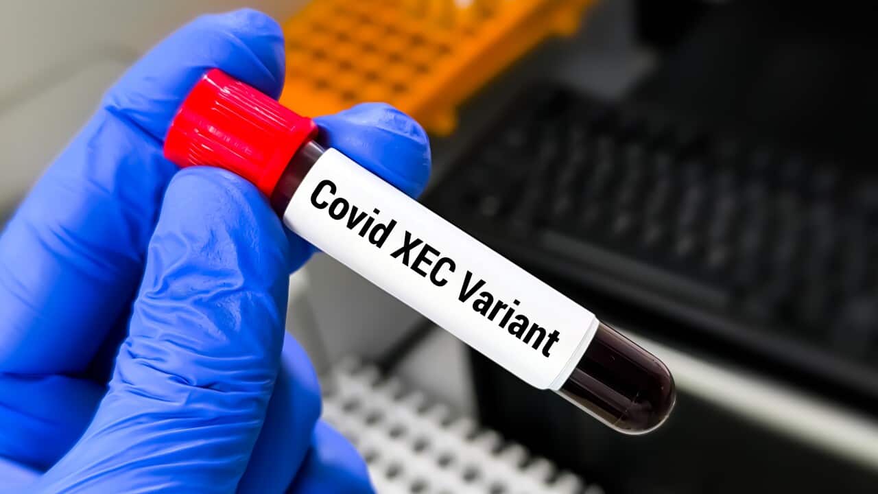 The XEC COVID-19 variant has reached Australia. Here's what to know ...