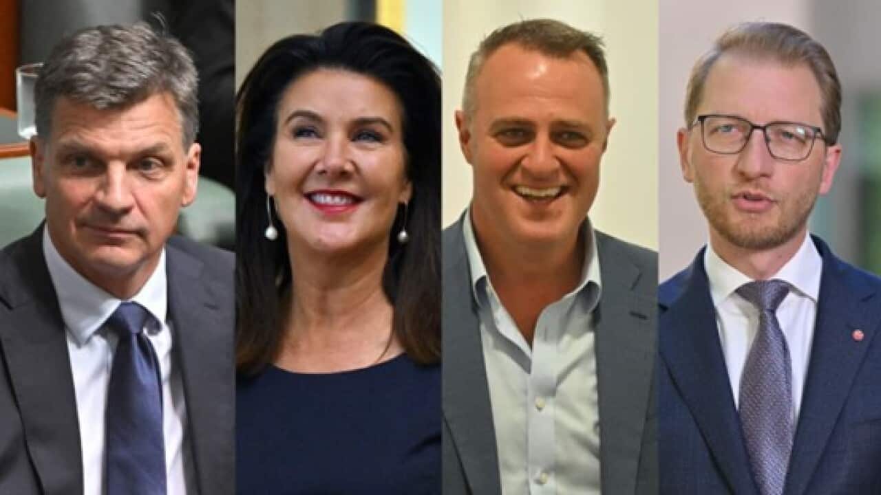 (Left to right) Angus Taylor on Tuesday unveiled the key players in his frontbench, including Jane Hume, Tim Wilson and James Paterson.jpg