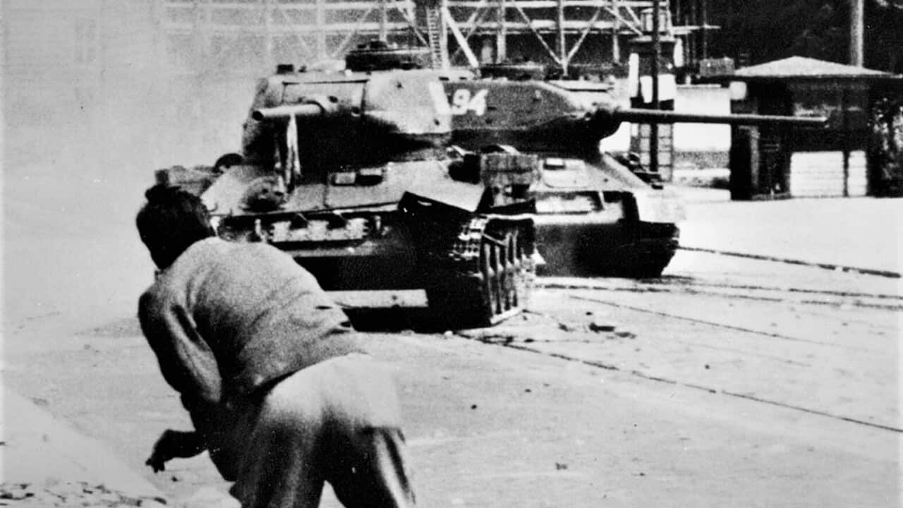 Steinwerfer Tyrannen.jpg