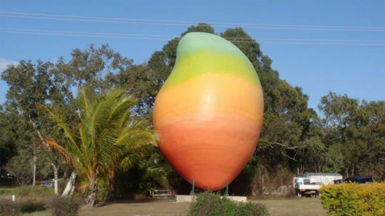 The Big Mango is an icon for Bowen, the top producer of mangoes in Australia.