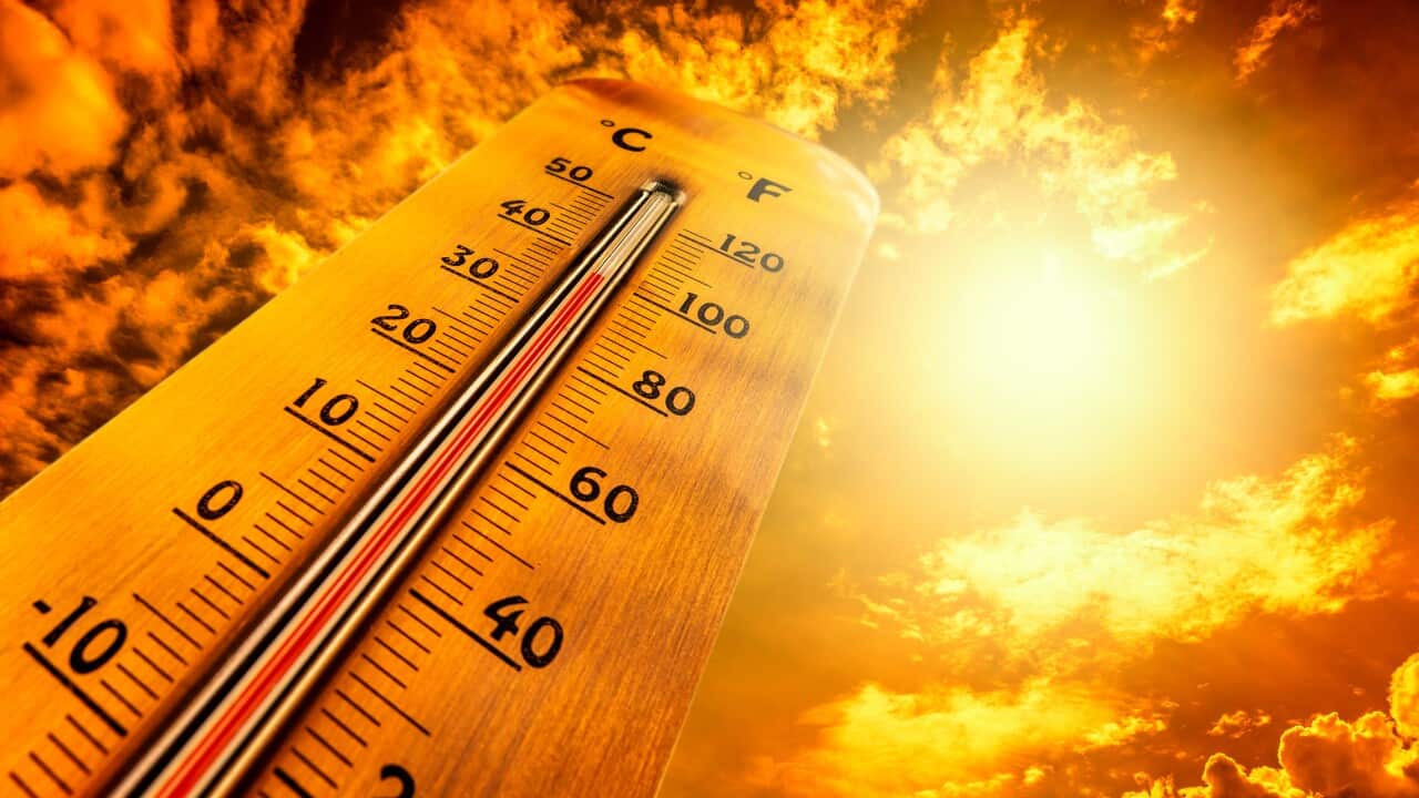 Thermometer showing tropical heat and sky with hot sun rays in Celsius and Fahrenheit