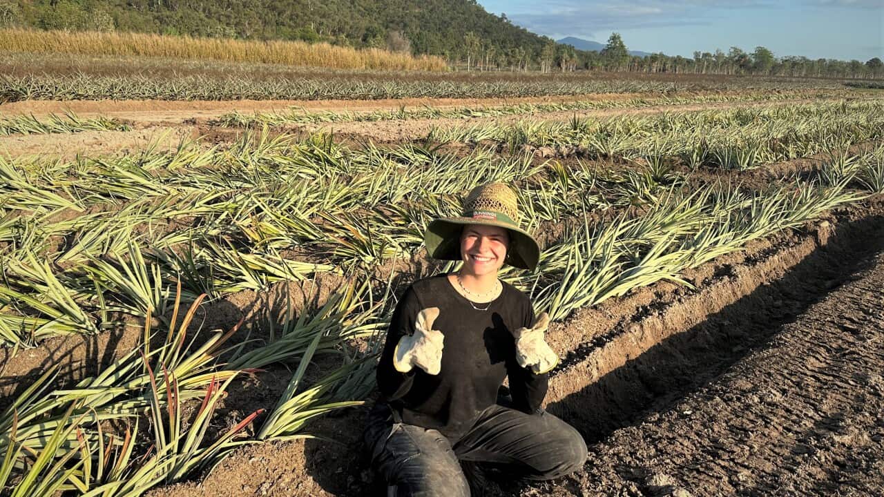 Kia Farm edit.jpeg