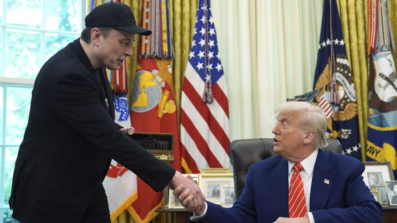 Donald Trump,Elon Musk