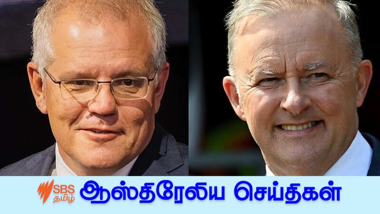 AAP