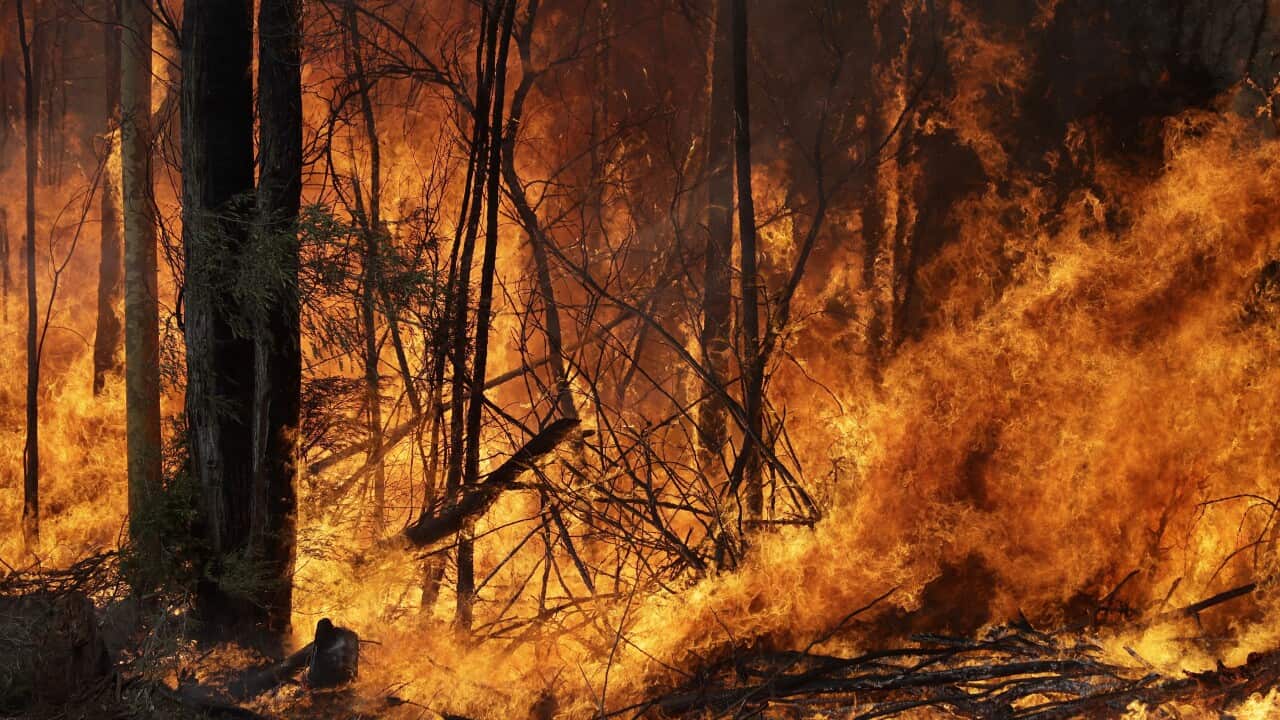 fires