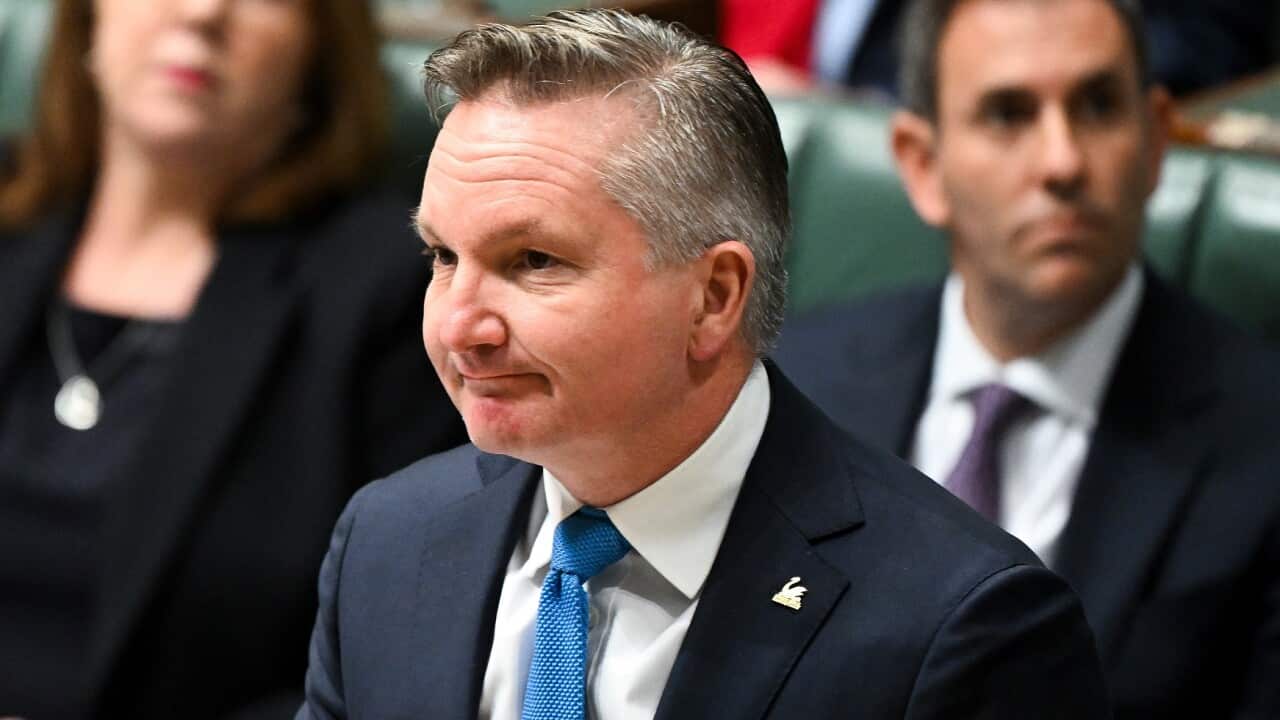 Chris Bowen sitting in parliament, with a man and a woman behind him sitting on a green bench.