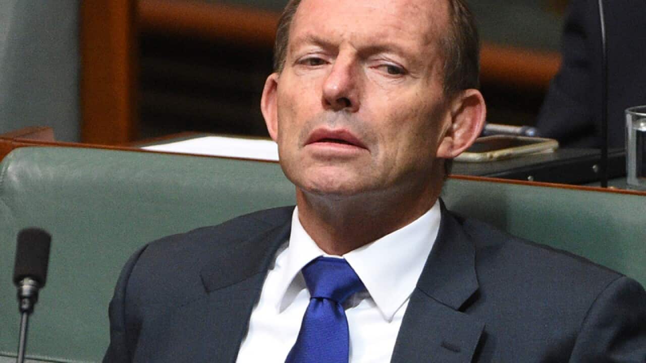Former prime minister Tony Abbott