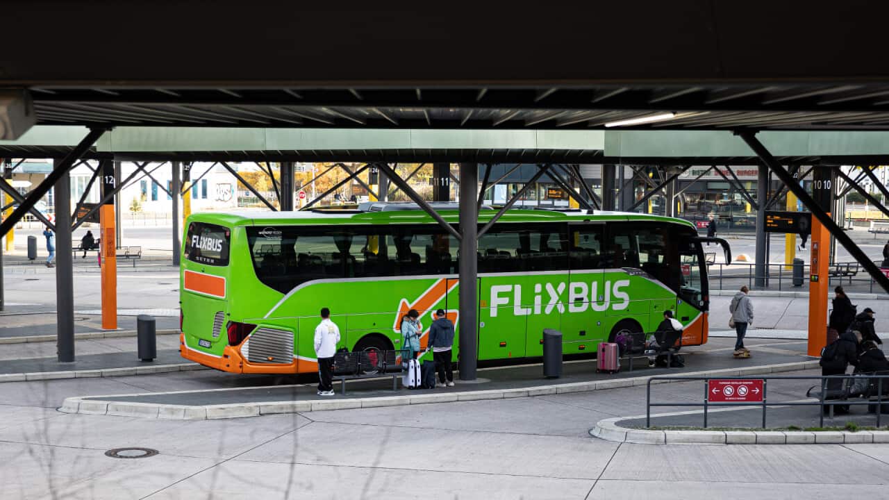 Copy of Copy of ALC Header Cutout (1).png