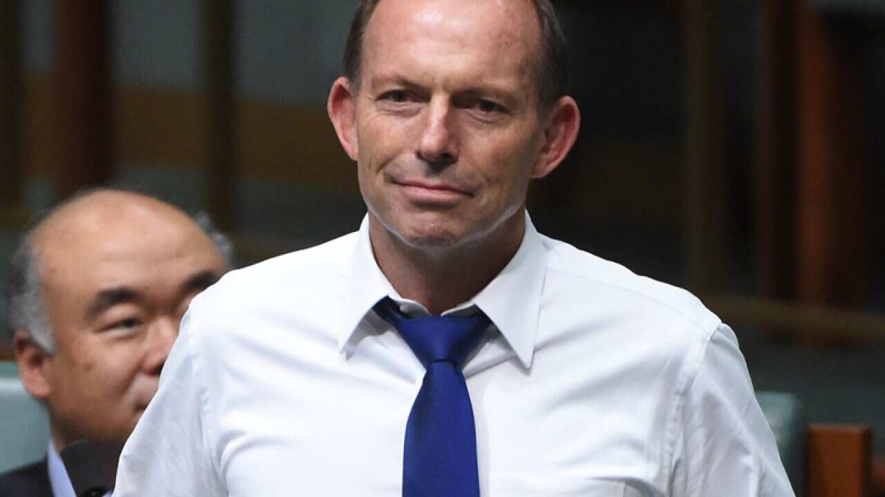 Former prime minister Tony Abbott