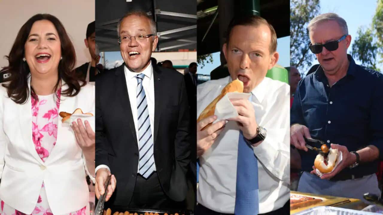 Queensland Premier Annastacia Palaszczuk (left), Prime Minister Scott Morrison, former prime minister Tony Abbott and Opposition leader Anthony Albanese.