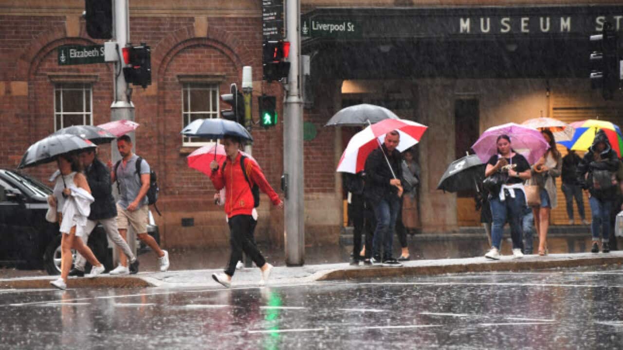 NSW rain