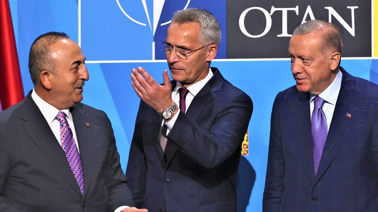 NATO Secretary General Jens Stoltenberg (c), together with Turkey's Foreign Minister, Mevlut Cavusoglu (l), and President Recep Tayyip Erdogan (r).