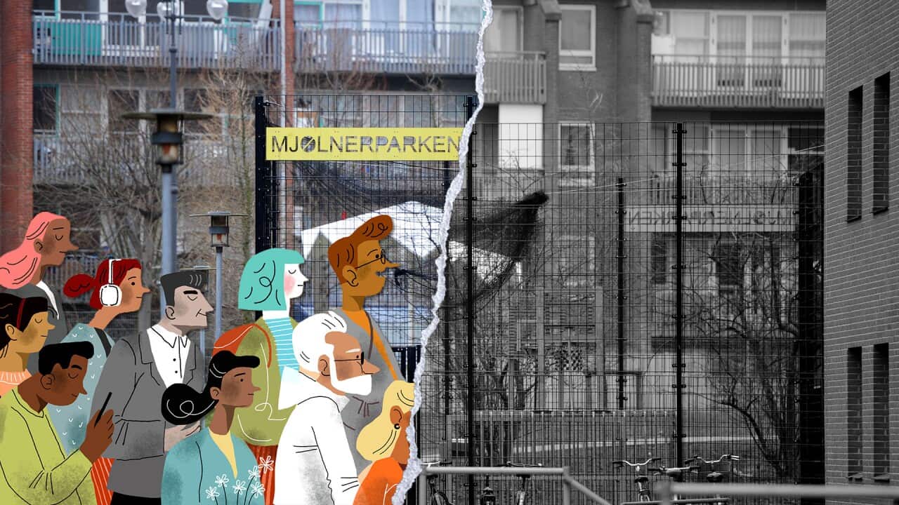 ‘You cannot escape diversity’: The controversial housing laws trying to ‘integrate’ immigrants ‘You cannot escape diversity’: The controversial housing laws trying to ‘integrate’ immigrants