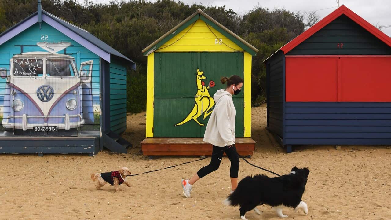 A person wearing a face mask is seen walking their dogs along Brighton beach in Melbourne.