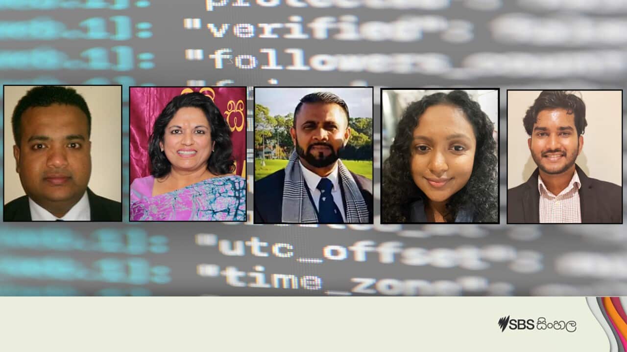 VINIVIDA - NOVEMBER 02 .jpg