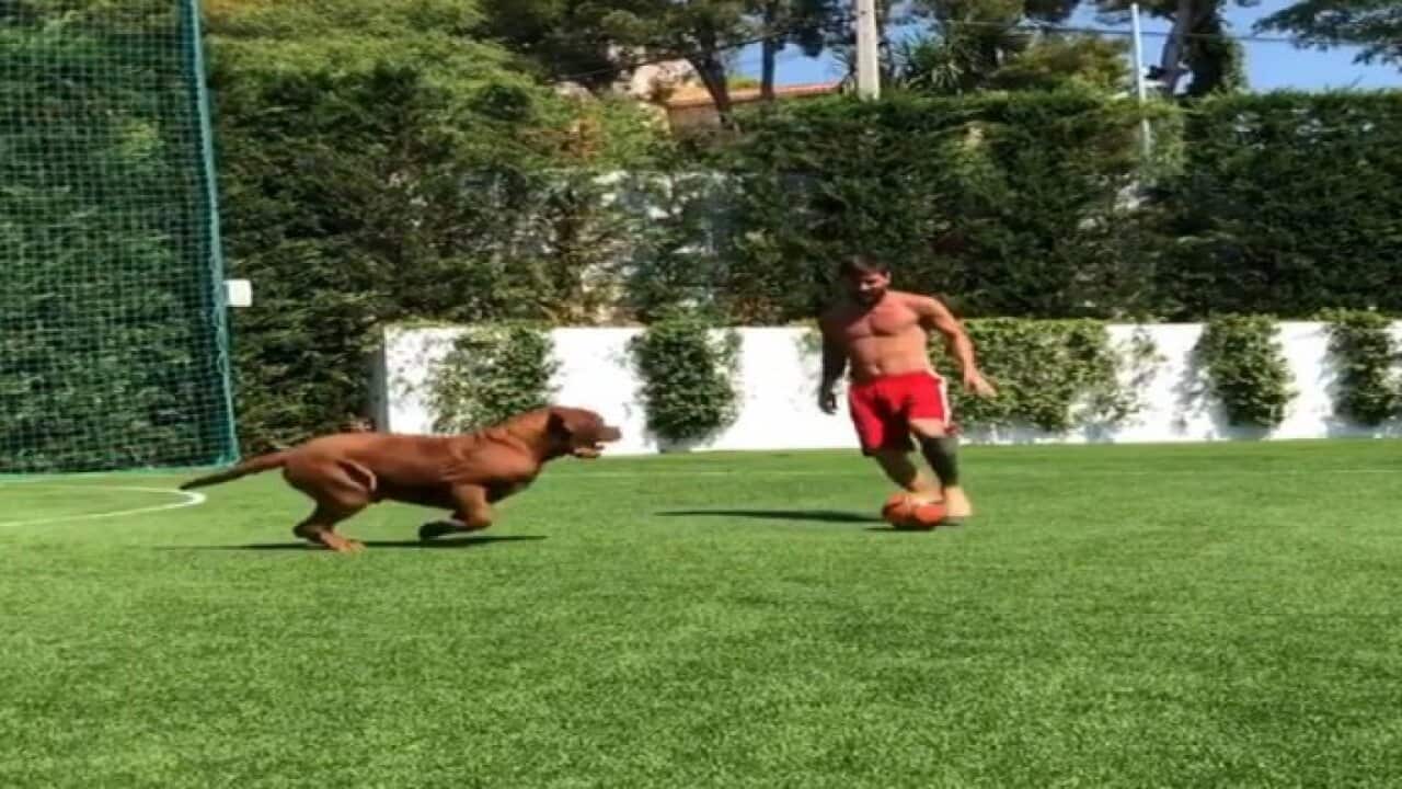 Messi toys with his dog | SBS Sport