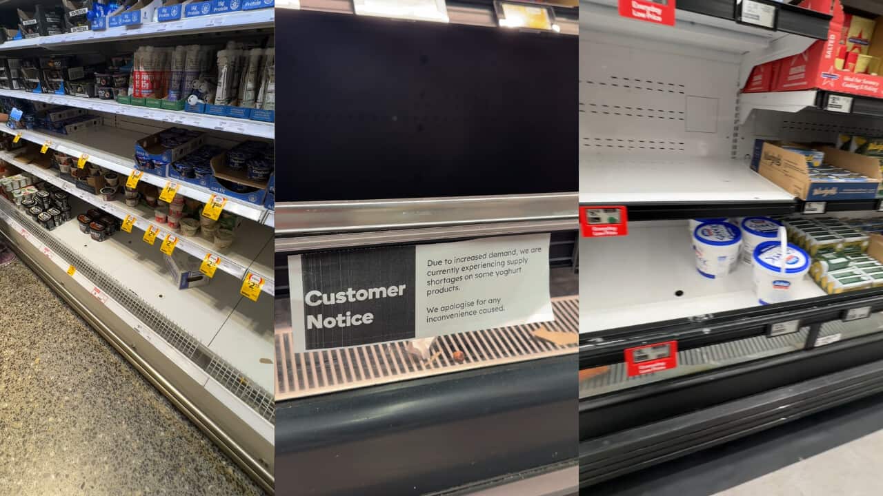 A composite image shows mostly empty grocery store refrigerator shelves with a customer notice stating that increased demand has caused supply shortages for some yoghurt products.