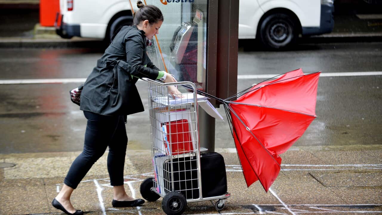 A representative image of a pedestrian battling windy weather.