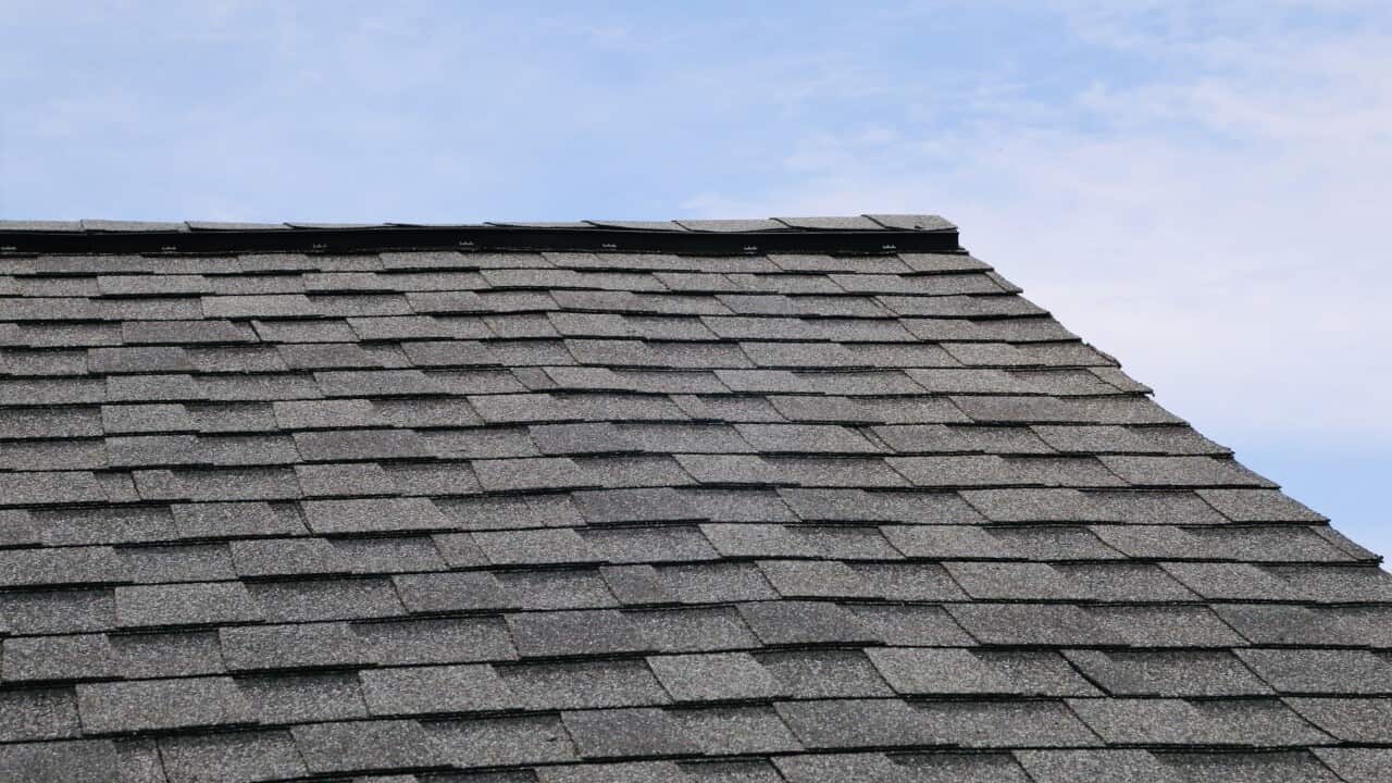 asphalt type roof shingles