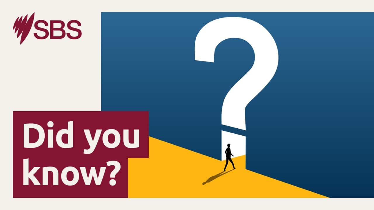 Image for read more article 'RELATED CONTENT:'