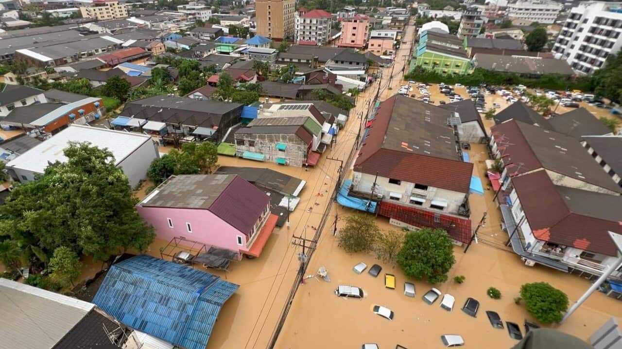 SBS News sa Filipino, Linggo 30 Nobyembre 2025