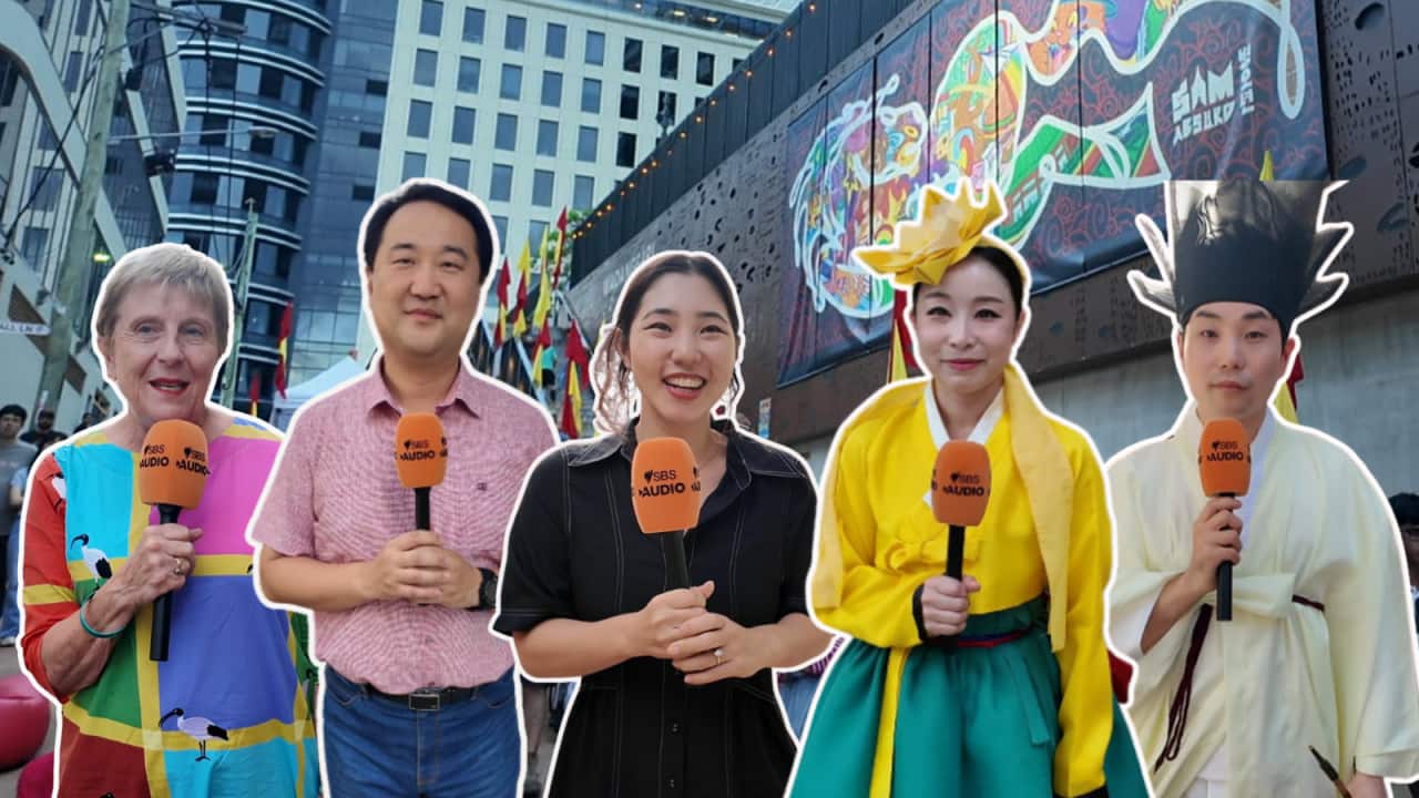 시드니 레인코브 카운슬이 주최한 2026 설날 축제.png