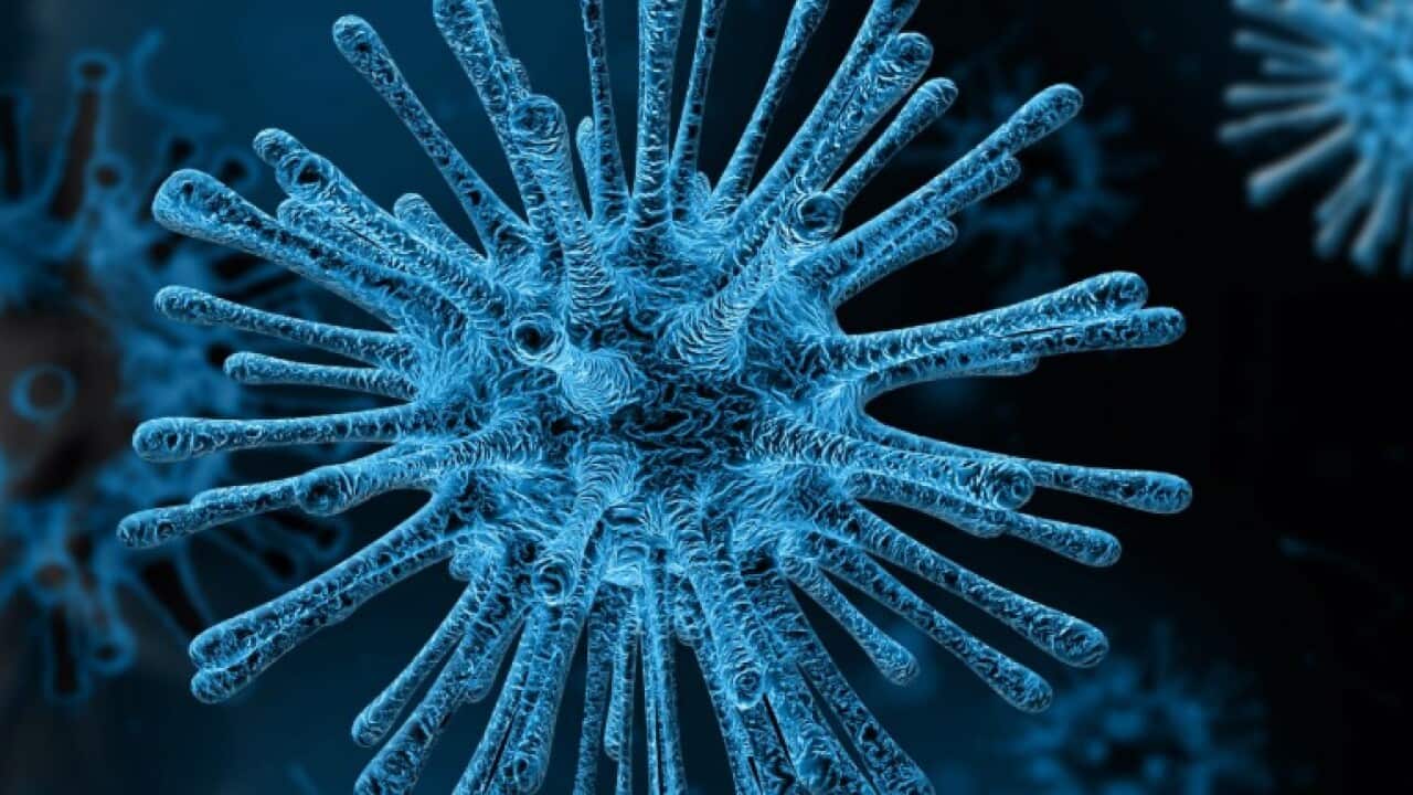 Coronavirus (COVID19)