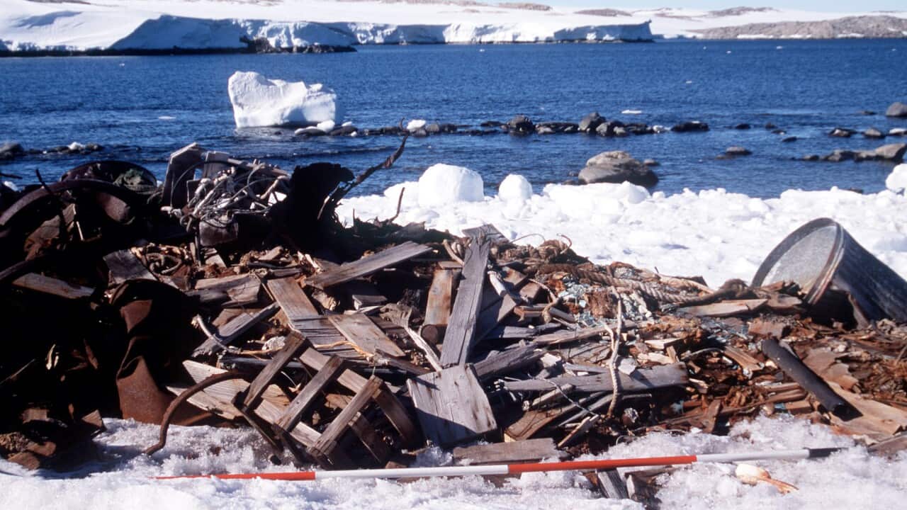A pile of rubbish at the tip at the old Wilkes Station - AAP-2.jpg