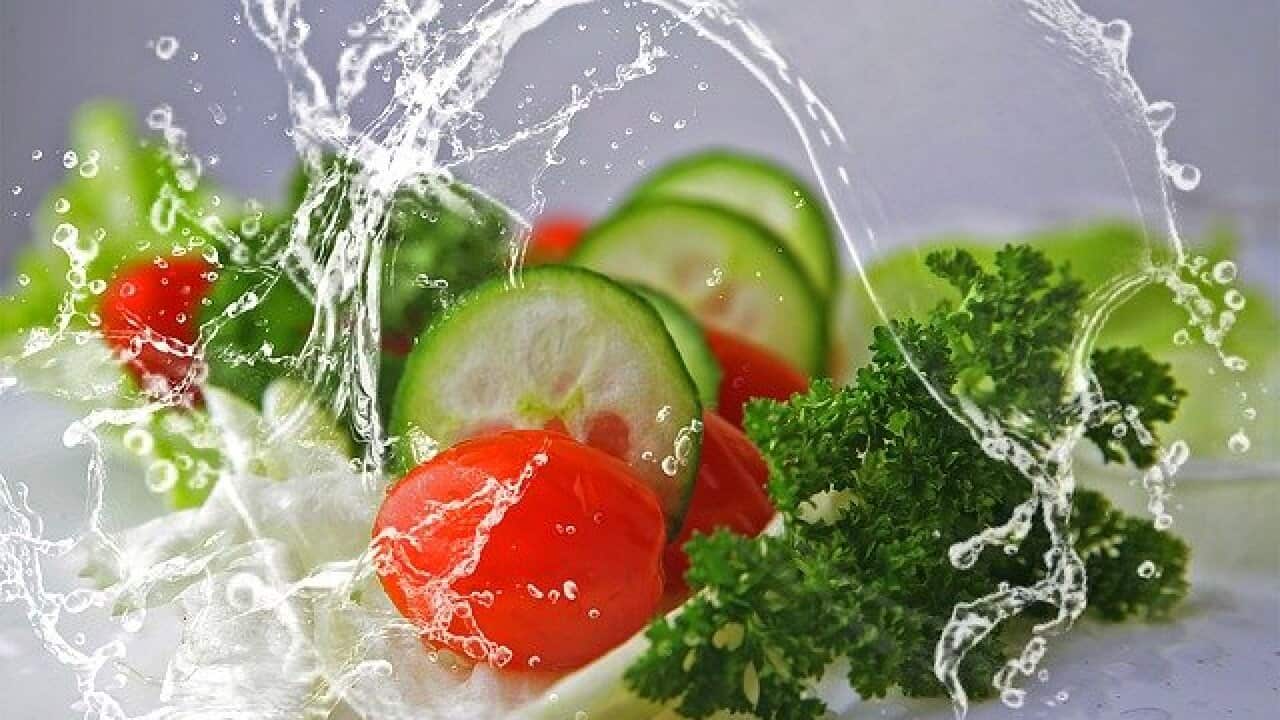 Food Salad