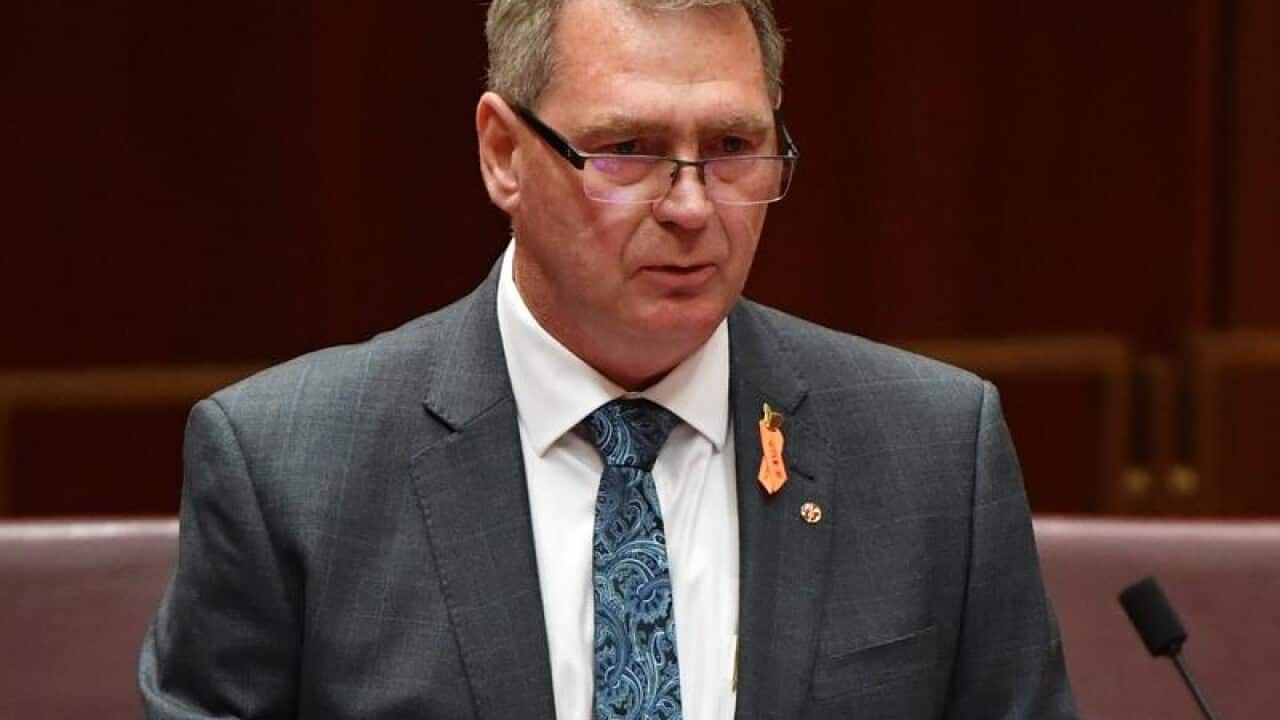 Independent Tasmanian Senator Steve Martin in the Senate chamber.