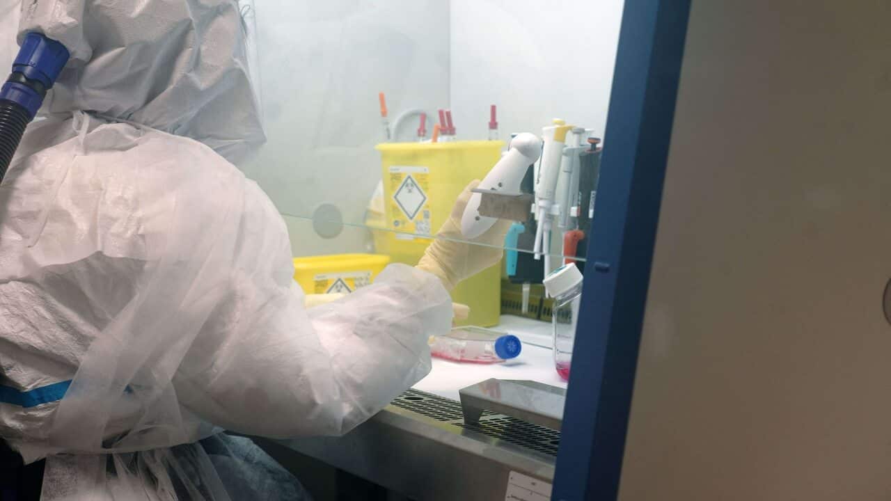 Image for read more article ''