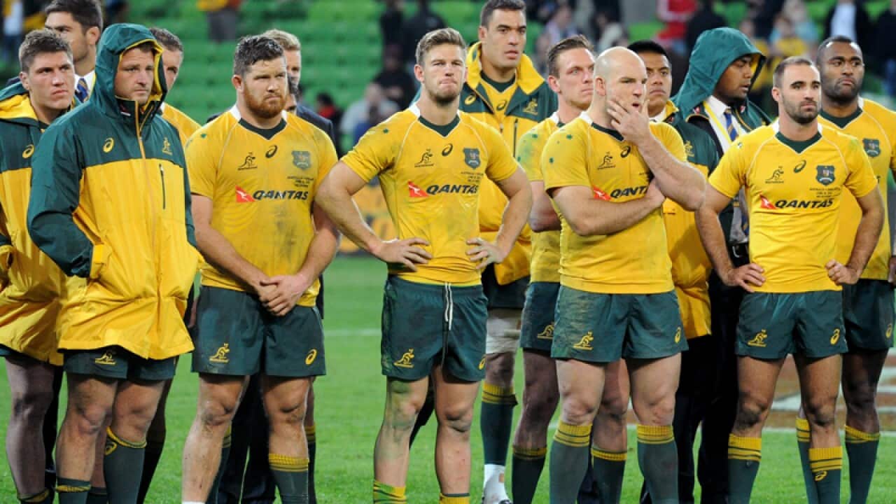 Members of the Wallabies