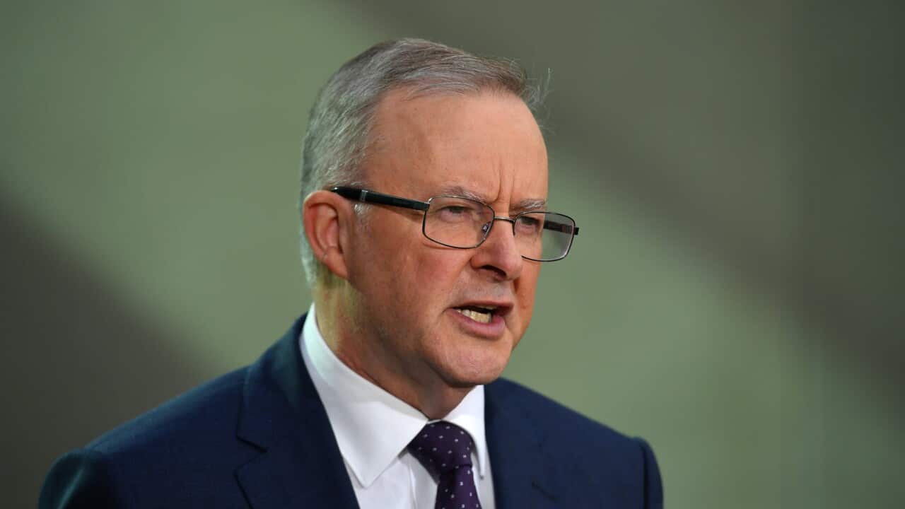 Federal Opposition leader Anthony Albanese