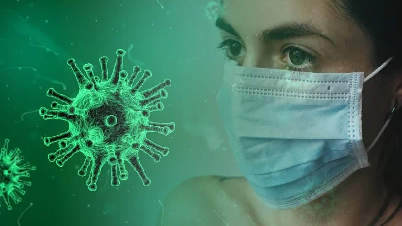 What are the common diseases which caused by Virus and Bacteria?
