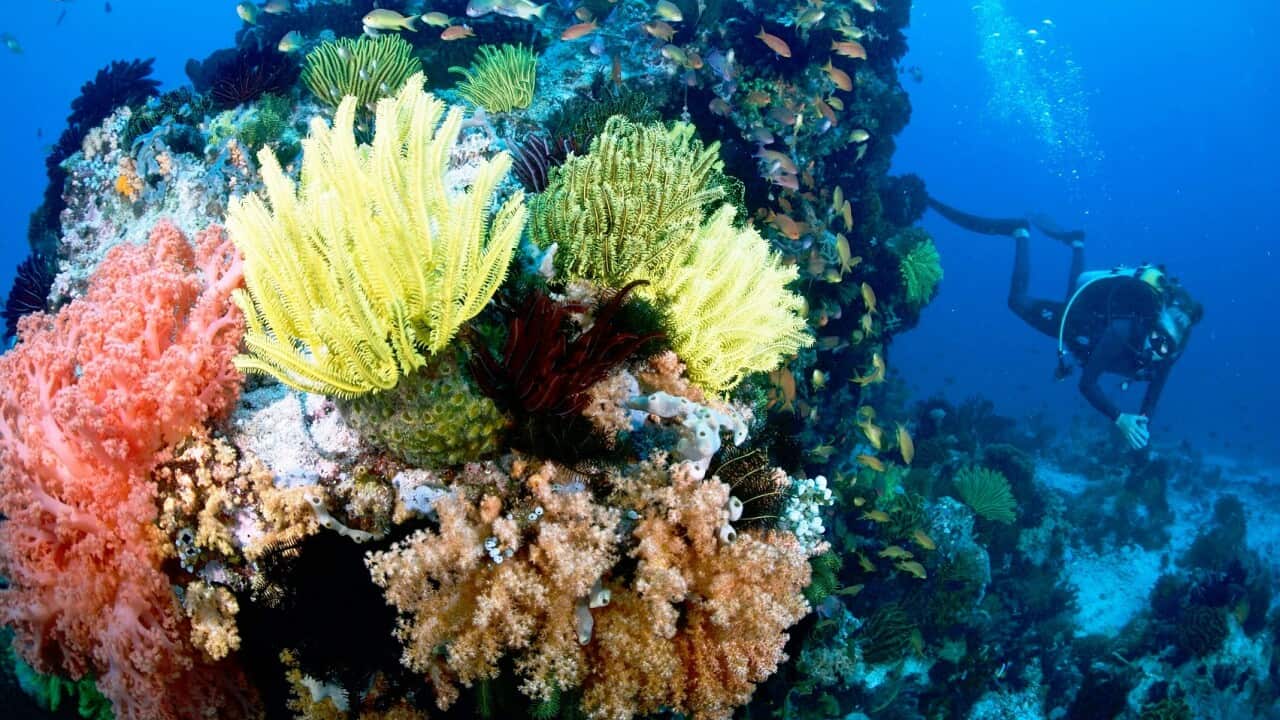 Camiguin Bo Mancao _Adrenaline Romance.jpg