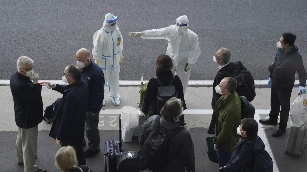 A worker in protective coverings directs members of the World Health Organization (WHO) team on their arrival at the airport in Wuhan in central China's Hubei province