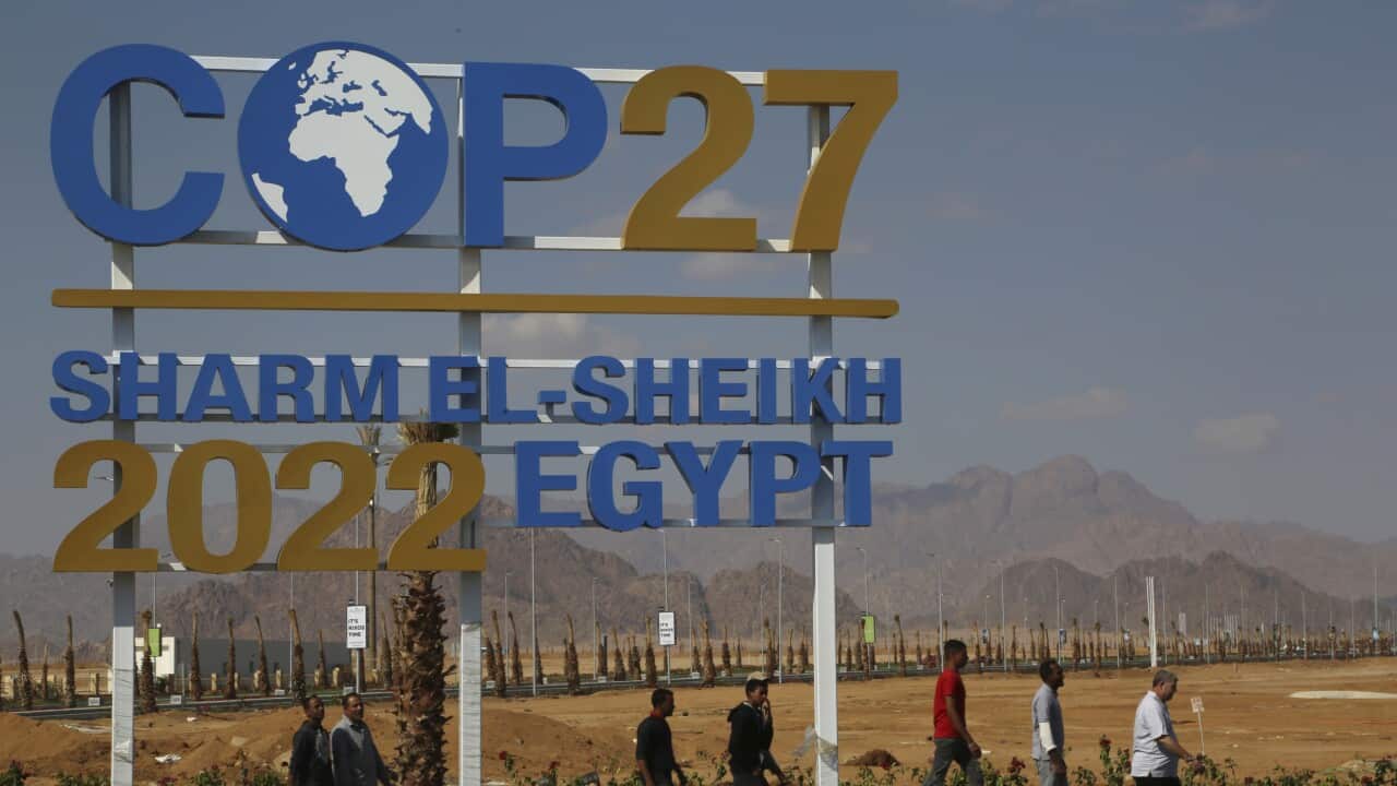COP27 Sharm el-Sheikh