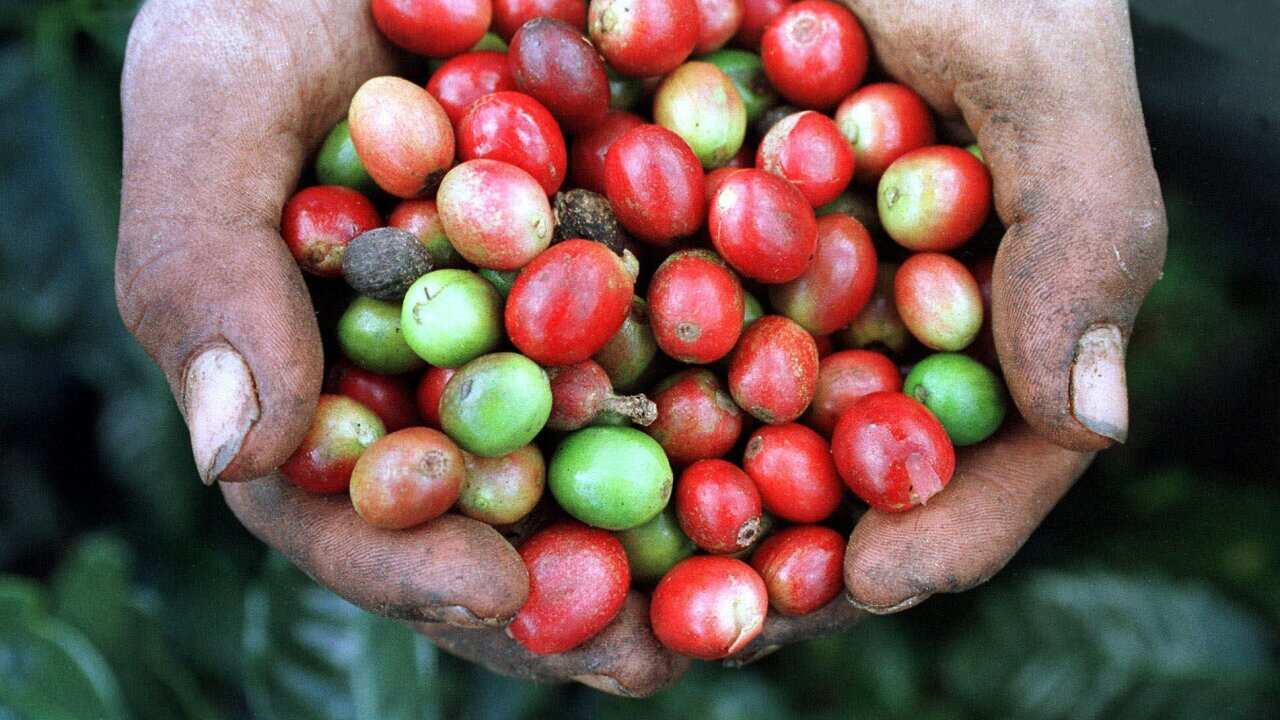 Image for read more article 'Potrebbe interessarti anche'