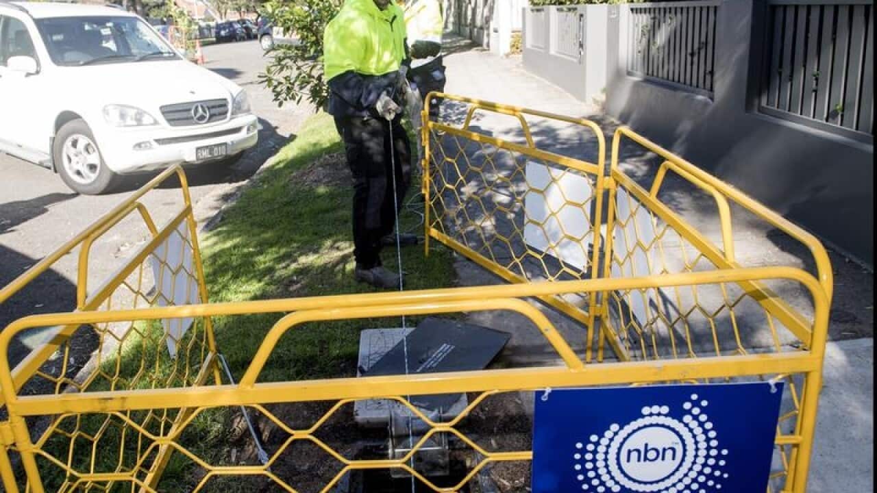 Contractors working on the NBN rollout