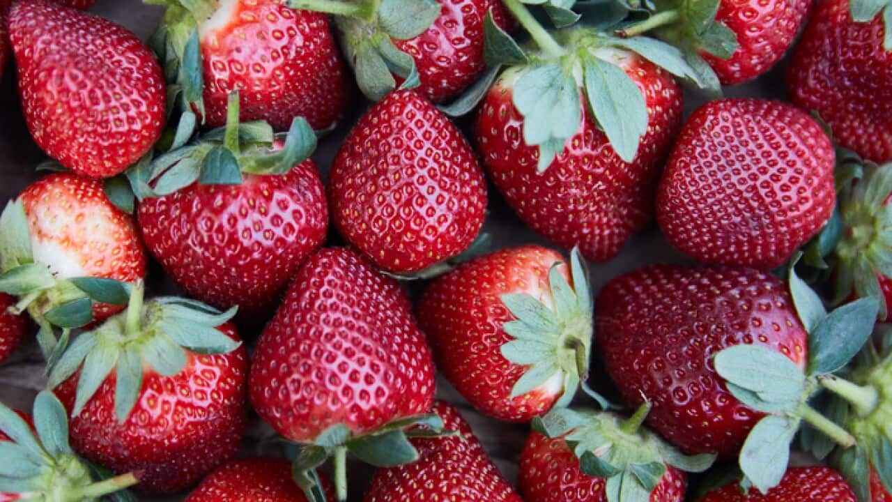 A stock image of strawberries in Sydney,Tuesday, September 18, 2018. (AAP Image/Erik Anderson) NO ARCHIVING