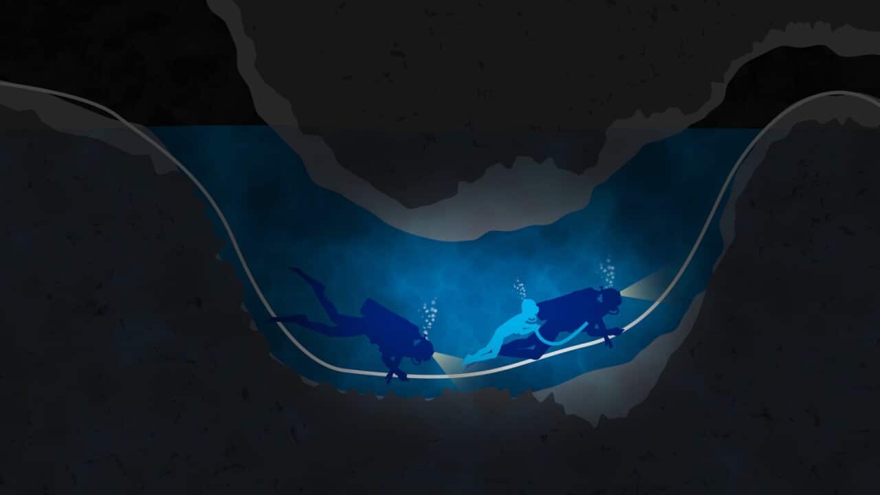 Image for read more article 'READ MORE'