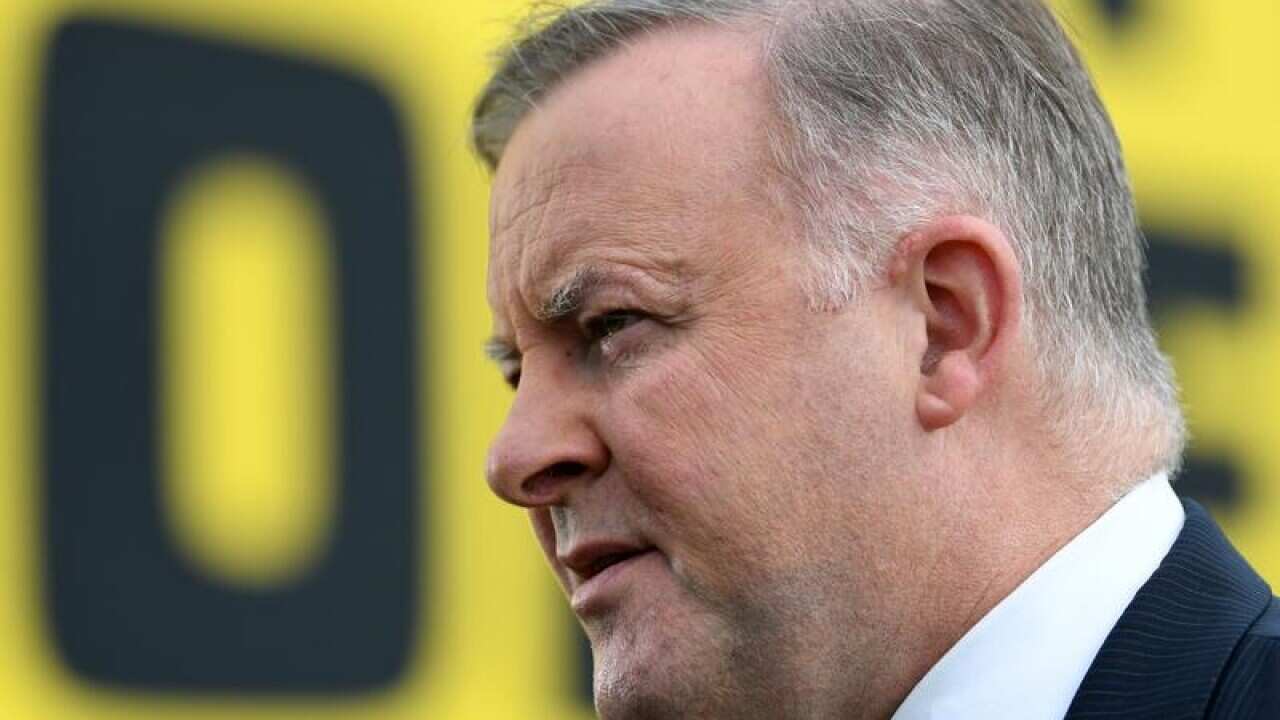 ANTHONY ALBANESE