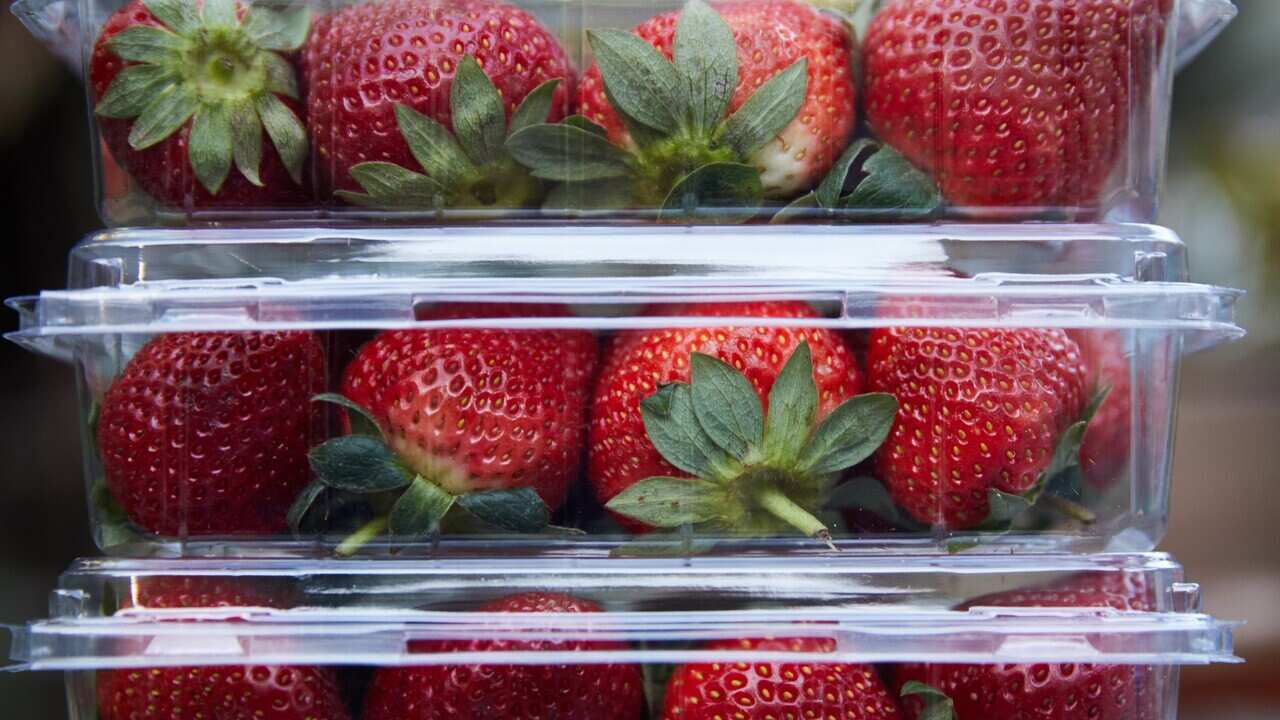 An image of punnets of strawberries.