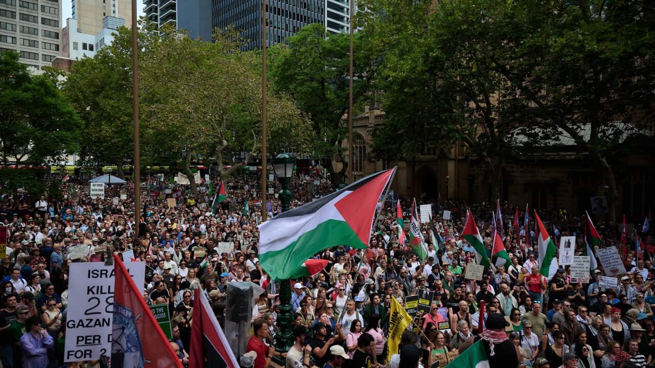 A large crowd of protesters gathered in an urban square, surrounded by trees and tall buildings, wave Palestinian flags and hold signs during a demonstration.