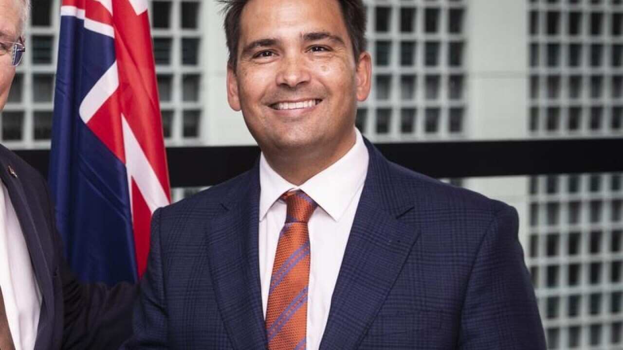 Simon Bridges