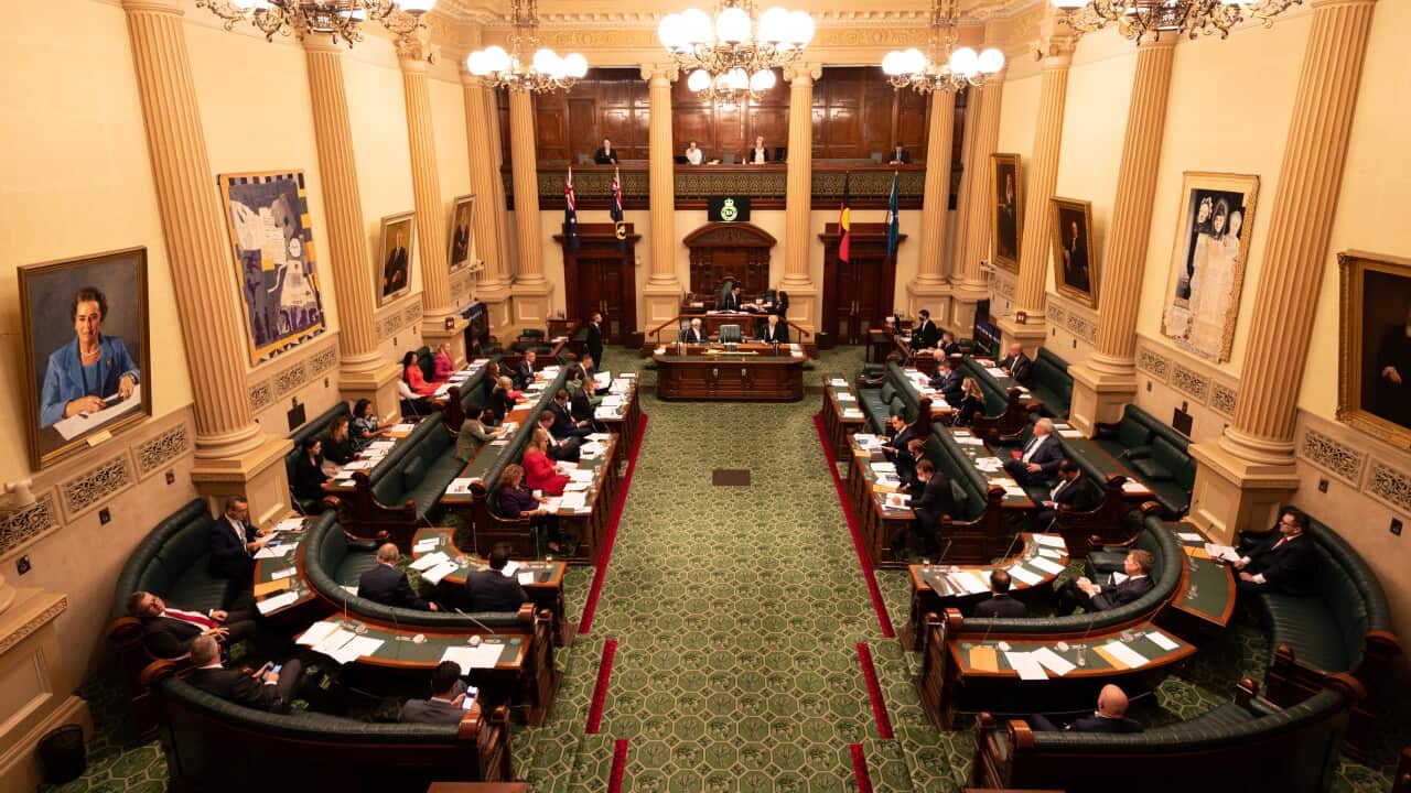 South Australian parliament adopts gender-neutral language South Australian parliament adopts gender-neutral language