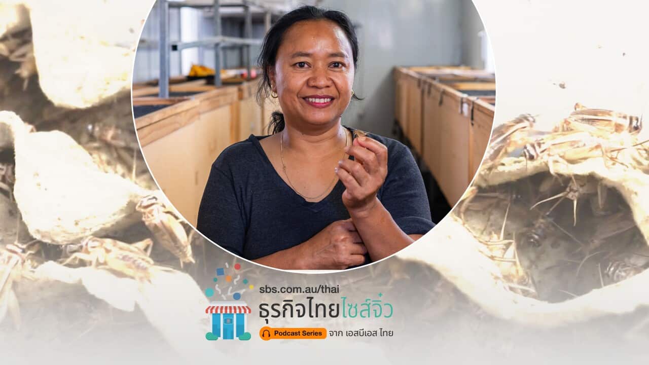 Image for read more article 'ฟังการพูดคุยกับคุณพรทิพย์ ชื่นชอบ แบบเต็มๆ ได้ที่ลิงก์ด้านล่างนี้'