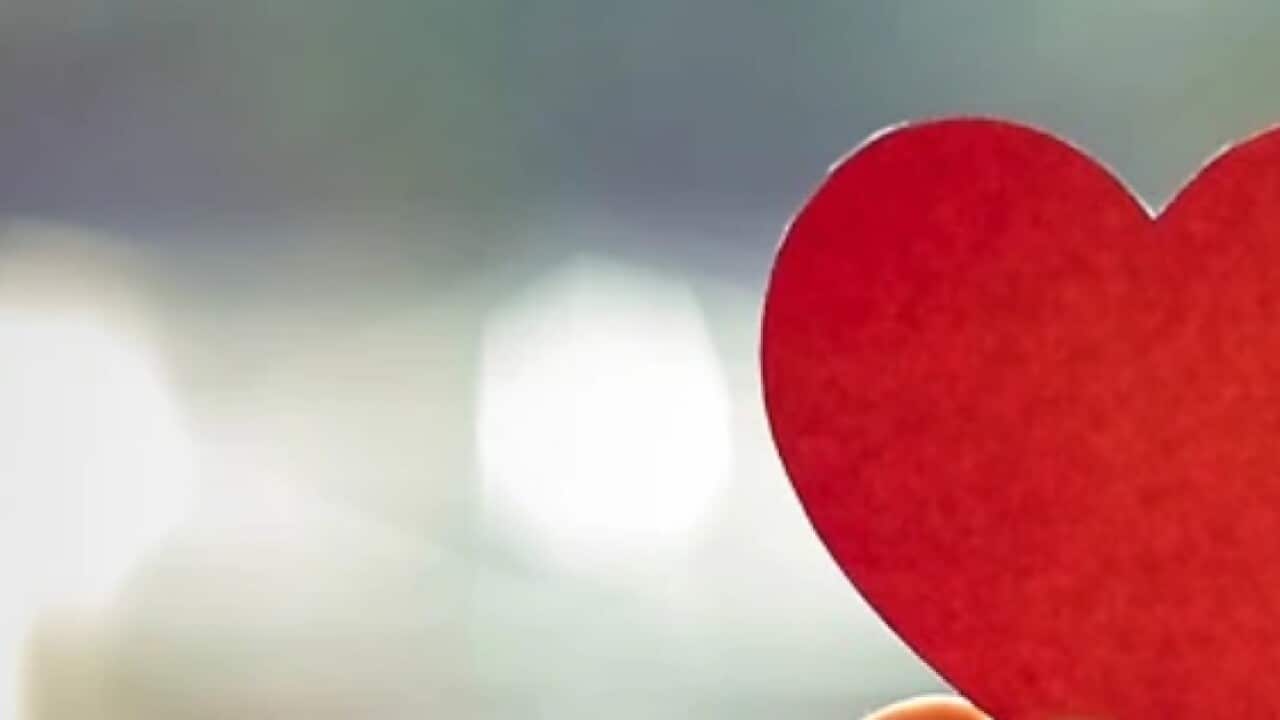 Image for read more article ''