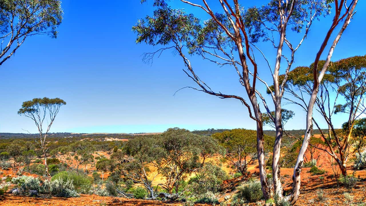 Image for read more article 'READ MORE'