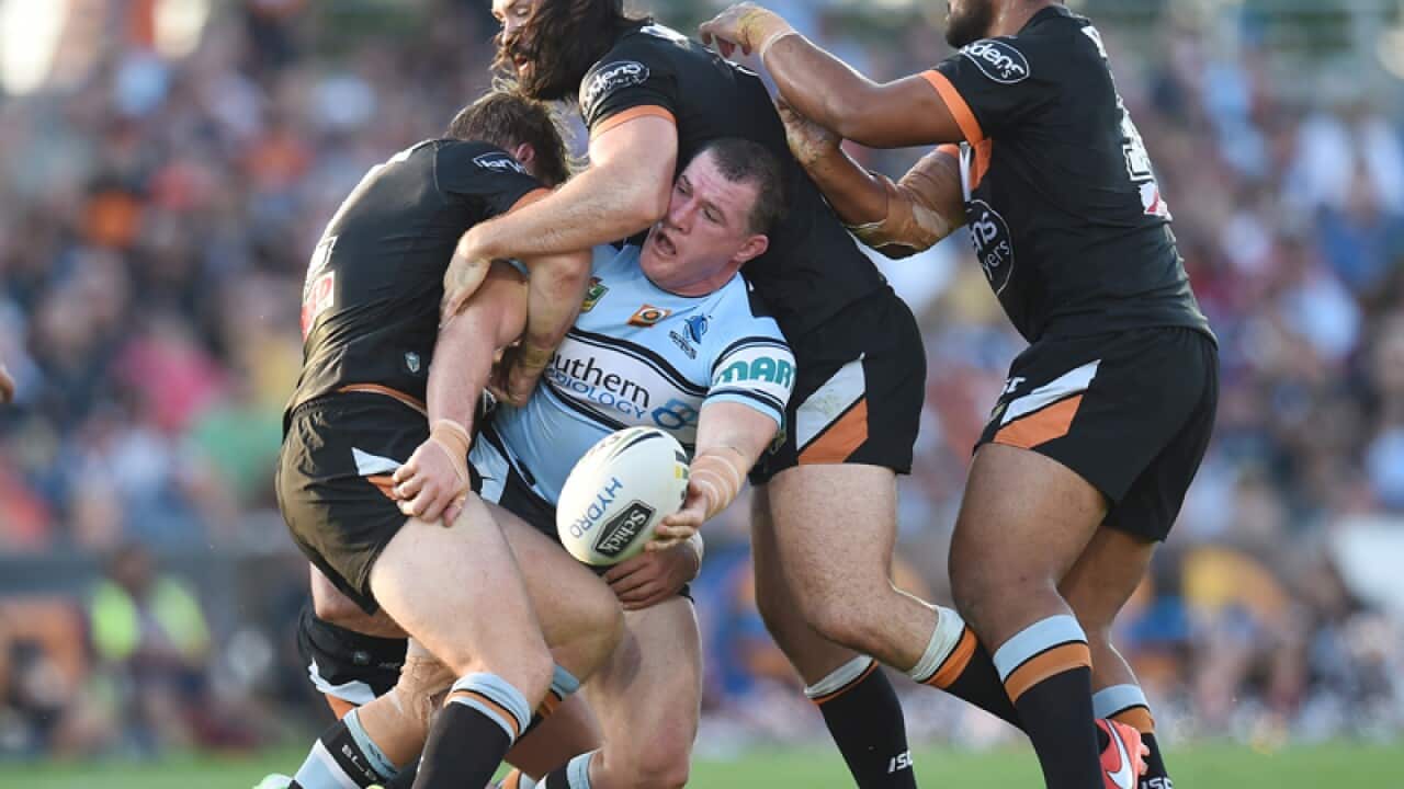 Paul Gallen of the Sharks